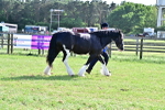 SBM_10132