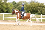 SBM_002844