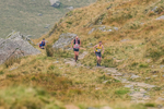 Peris Horseshoe-87