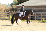 SBM_009882