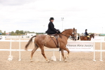 SBM_16395