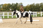 SBM_004493