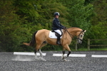 WJ5_0388