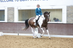SBM_000956