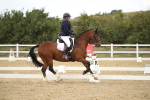 SBM_002977