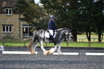 WJ5_9087