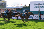 220826-Race 6-Sale Shark-1571