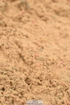 230610A-154250-04096