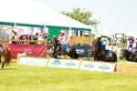 SBM_04379