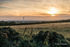 Hazy Shade of Summer