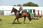 SBM_18343