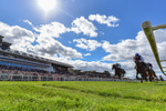 050926-Race 1-Prince Kameo-6800