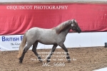 JAC_5686