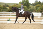 SBM_002864
