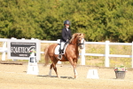 SBM_017575