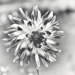 20131002-3K8A6759-2459