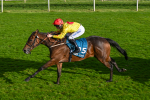 111024-Race 5-Vince LAmour-2018