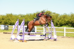 SBM_000481