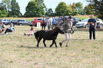 WJ6_7023