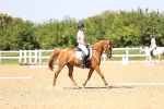 SBM_010072