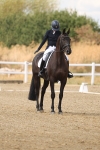 SBM_010491