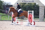 Unaffiliated Show Jumping portfolio