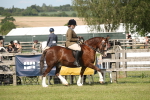SBM_09536