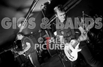 The Lurkers-4