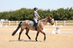 SBM_001164