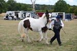 WJ6_5325