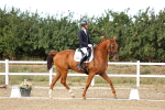 SBM_007528