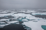 Pack Ice 6884
