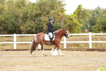 SBM_001324