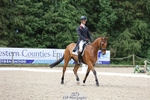 264-BLS_ABSOLUTELY-William_Fox-Pitt portfolio