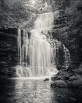 Scaleber Force