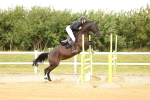 SBM_009965