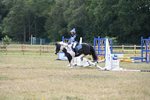 WJ6_9243
