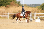SBM_016811