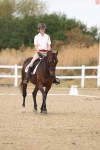 SBM_009055
