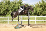 SBM_003824