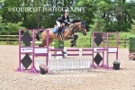 BPP_2198