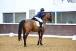 SBM_002034
