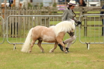 SBM_03498