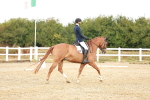 SBM_001651