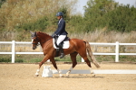 SBM_001449