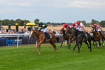 130825-Race 4-Rock Of England-1243