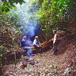 Restoring Heligan gardens