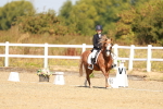 SBM_017568