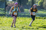 The Finish-2147