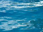 P92602040387